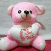 pink-best-wishes-heart-teddy
