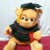 graduate-teddy-bear